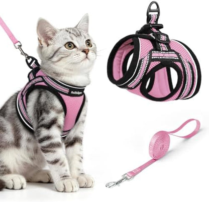 rabbitgoo Cat Harness and Leash Set, Step-in Soft Vest by rabbitgoo