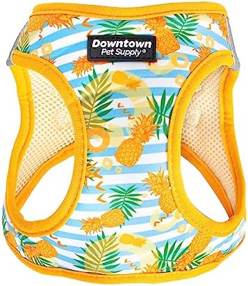 Downtown Pet Supply Step-in Dog Harness – No Pull, Adjustable Padded Mesh by DowntownPetSupply