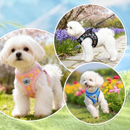 BEAUTYZOO Dog Harness Medium Sized and Leash Set, No Pull Pet Vest - Image 3