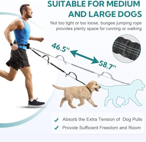 Hands Free Dog Leash for Two Dogs Walking, - Image 6
