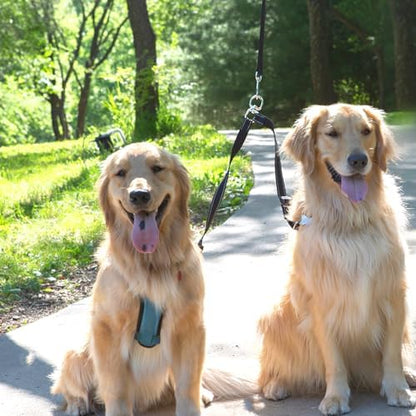 Caldwell's Pet Supply Co. Leash Coupler, Two Dog Leash Splitter to Split Leashes - Image 5