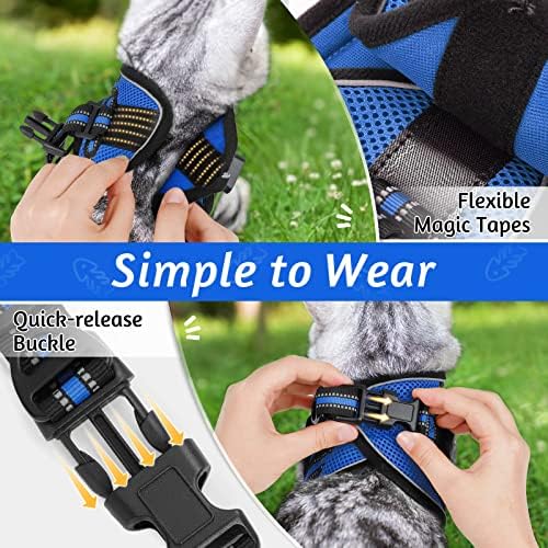 rabbitgoo Cat Harness and Leash Set, Step-in Soft Vest - Image 2