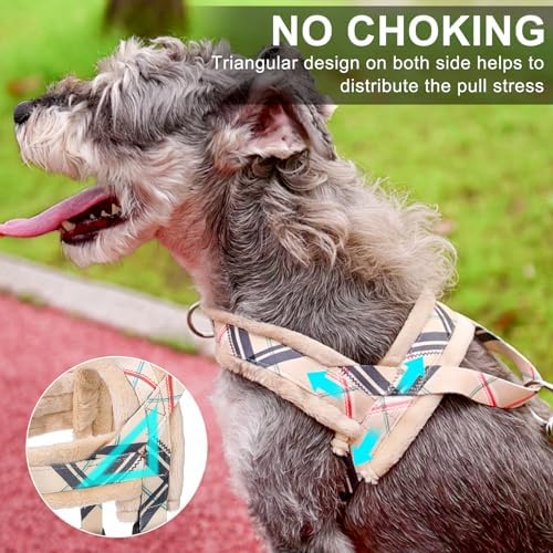 BEAUTYZOO No Pull Medium Dog Harness and Leash Set, Soft Puppy Vest Harness - Image 2