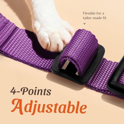 Dooradar Cat Harness and Leash Set, Adjustable and Escape Proof - Image 3