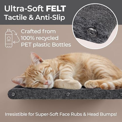 Cat Wall Shelf - Indoor & Outdoor by Pryde Pets - Image 2