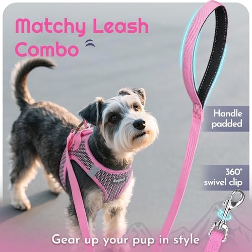 Eagloo Small Dog Harness and Leash Set, Step in Extra Small Puppy Pet Vest - Image 6