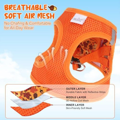 BEAUTYZOO Small Dog Harness and Leash Set, Step in No Choke No Pull Soft Mesh - Image 4