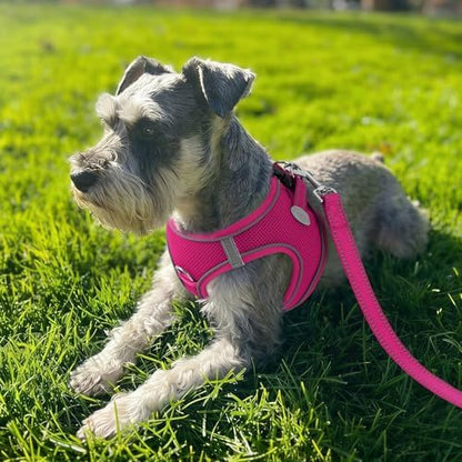 Joytale Step-in Dog Harness, Soft Breathable Mesh, Hot Pink XXXS - Image 2