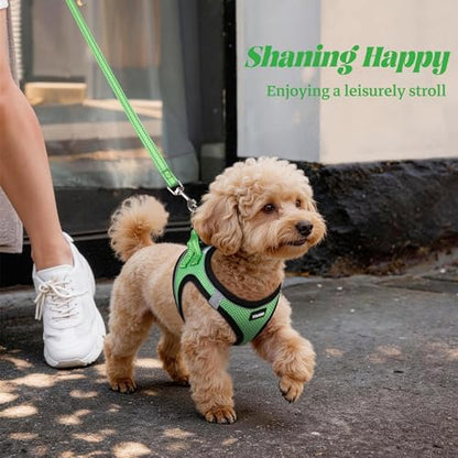 No Pull Dog Puppy Harness and Leash Set Reflective Mesh Vest Large - Image 6