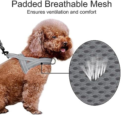 Plutus Pet No Pull Dog Harness for Medium Sized Dog, Breathable Mesh Padded - Image 3