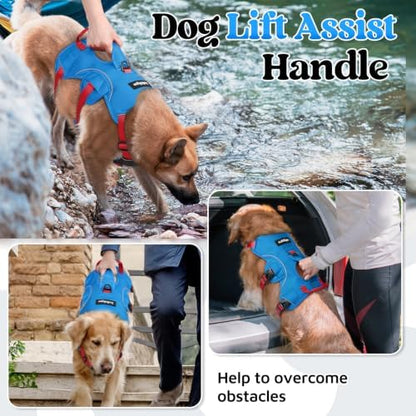 rabbitgoo Escape Proof Dog Harness - Image 3