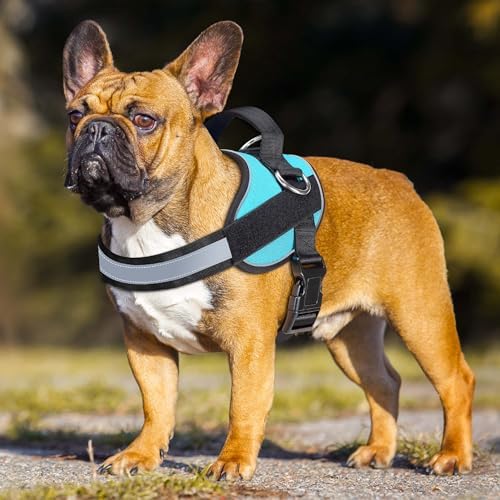 Haapaw Essential Dog Harness, No Pull Pet Vest - Image 3