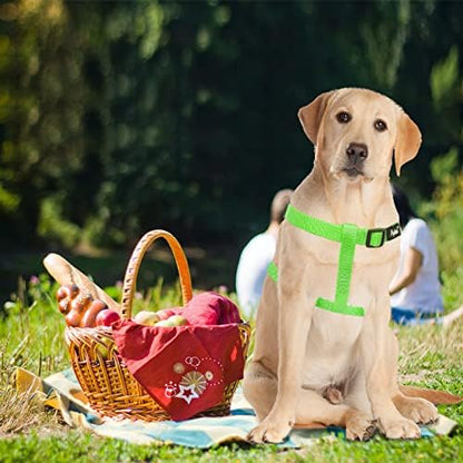 PUPTECK No Pull Dog Harness Soft Adjustable Basic Nylon Step in Puppy Vest - Image 5