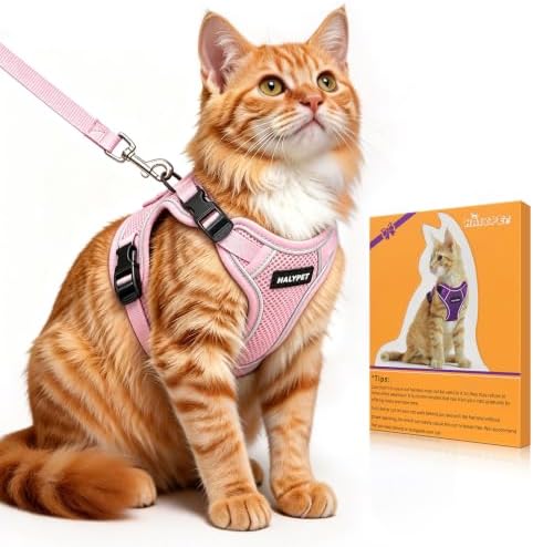 Cat Harness and Leash Set, Escape Proof Kitten Harness by DOMoreWithYourPet