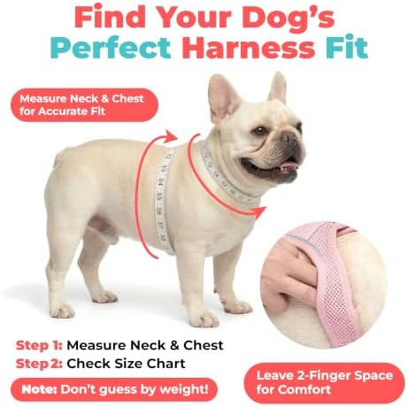 Voyager Step-in Air Dog Vest Harness - Image 6