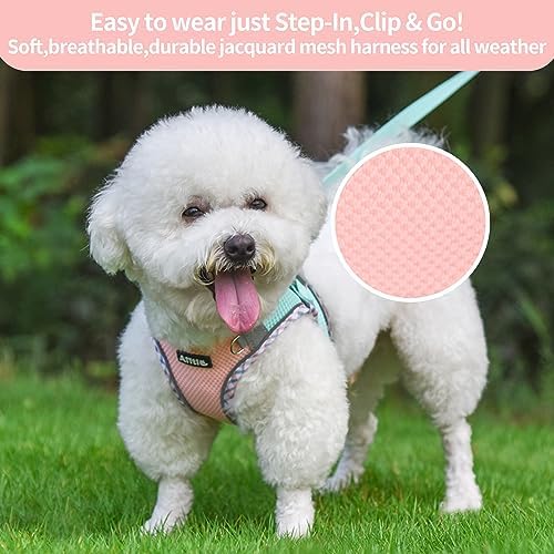 AIITLE XXS Dog Harness & Leash - Image 6