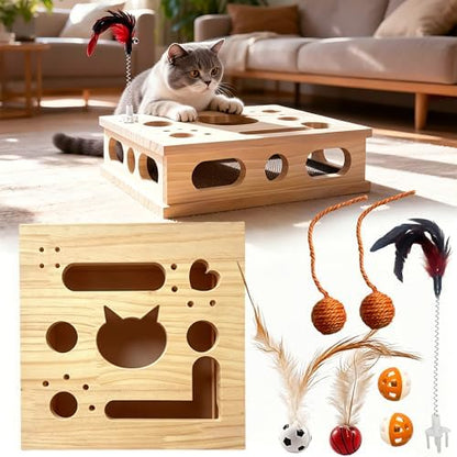 2026 New Model Cat Nail File Enrichment Box by Unknown