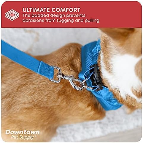 Downtown Pet Supply Step in Dog Harness No Pull, Cobalt - Image 6