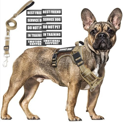Tactical Dog Harness and Leash Set by MOOGROUPETSFRIEND