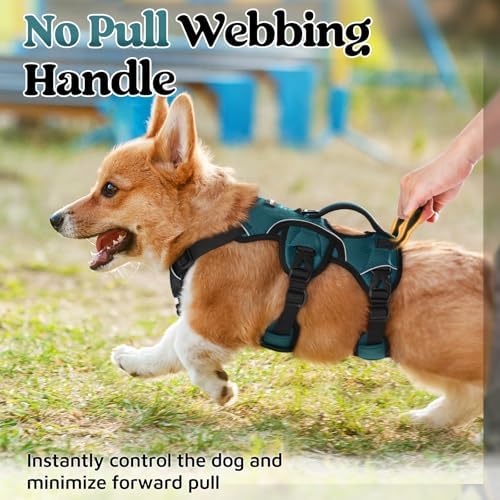 rabbitgoo Escape Proof Dog Harness - Image 4