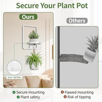 LASZOLA Plant Picture Frame Holder Shelf Wall - Image 4