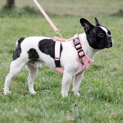 PUPTECK Small Dog Harness and Leash Set No Pull - Image 6