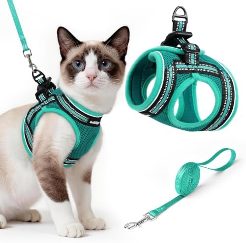 rabbitgoo Cat Harness and Leash Set, Step-in Soft Vest, Turquoise & Green by rabbitgoo