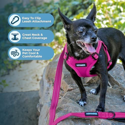 Best Pet Supplies Voyager Adjustable Step-in Flex Breathable Mesh Dog Harness - Image 5