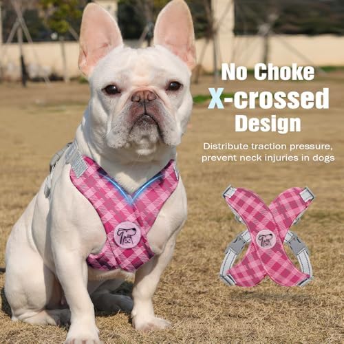 Pawaboo Small Dog Harness and Leash Set, Puppy Harness X-Frame Adjustable - Image 3