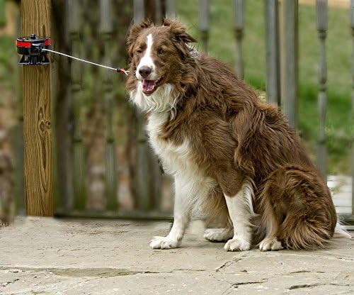 Lixit® Bracket Mount and Stake Retractable Leash Tie Outs - Image 3