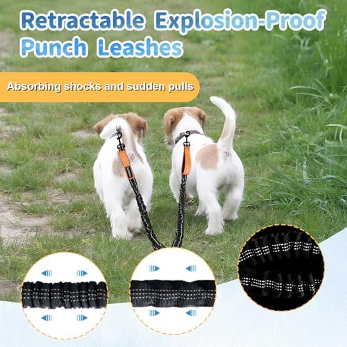 Double Dogs Leash - Image 5
