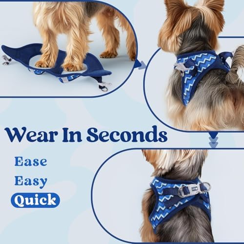 rabbitgoo Step-in Small Dog Harness, Puppy Vest - Image 6