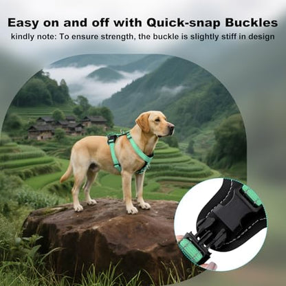 Plutus Pet No Pull Dog Harness - Image 6