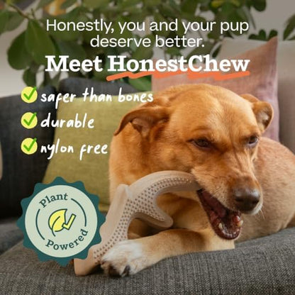 WOOF HonestChew Duo Dog Chew Toy Set - Image 3
