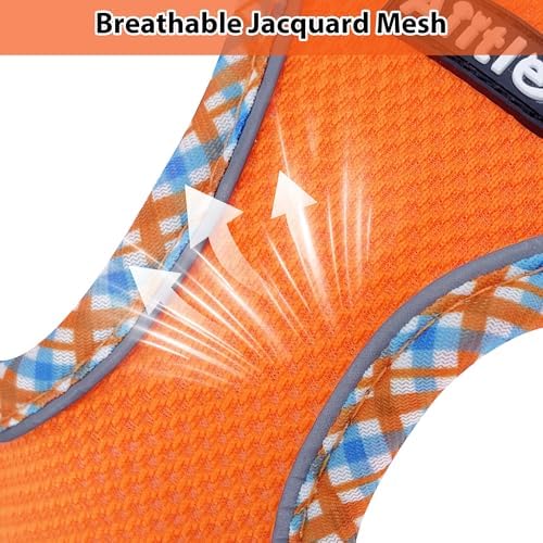 AIITLE Tiny Dog Harness and Leash Set, Step-in Vest - Image 2