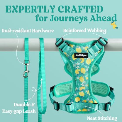 rabbitgoo Cat Harness and Leash Set, Escape Proof Vest, Lemon Grove - Image 7