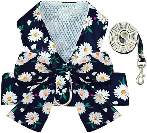 BAEJMJK Dog Harness and Leash Set by BAEJMJK