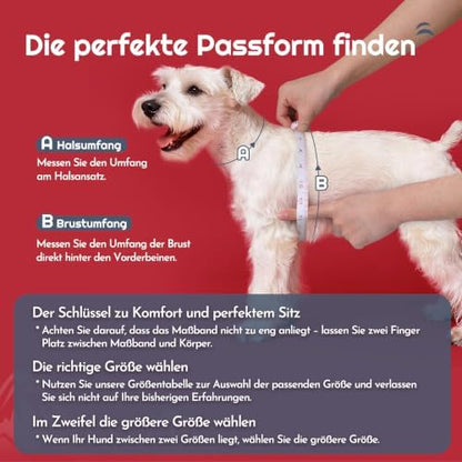Eagloo Small Dog Harness and Leash Set, Step in Medium Small Puppy Pet Vest - Image 2