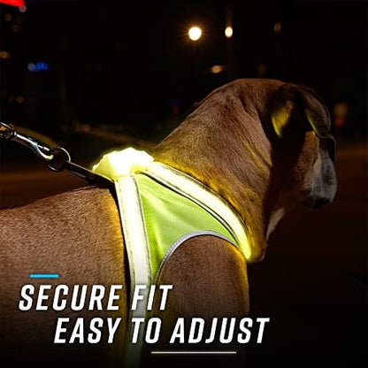 noxgear LightHound Light Up Reflective Dog Harness - Image 2