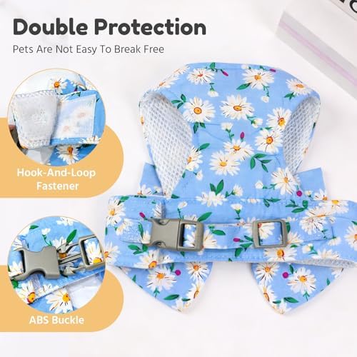 BAEJMJK Dog Harness and Leash Set - Image 6