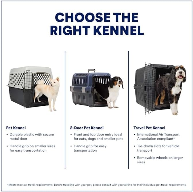 EveryYay by Petco Portable Plastic Pet Kennel 24" L X 16" W X 14" H Grey - Image 2