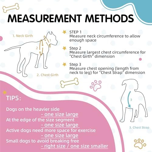 Blue Pink Tri-Color Small Dog Harness, Adjustable Step-in - Image 2