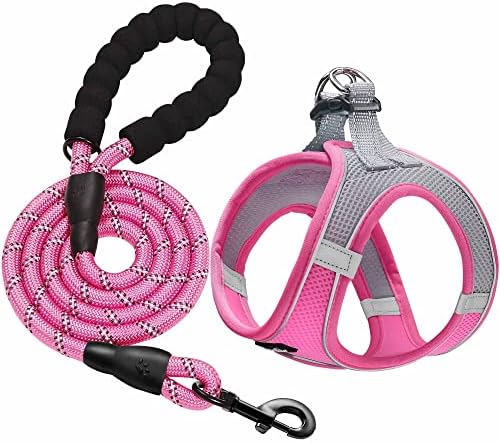 haapaw Dog Harness with Leash Set, No Pull Adjustable Reflective Step-in Puppy by haapaw