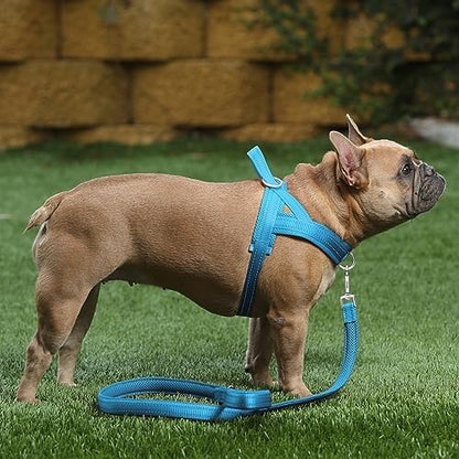 Plutus Pet No Pull Dog Harness for Large Dogs, Breathable Mesh Padded - Image 5