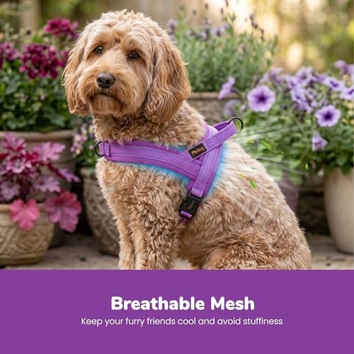Didog No Pull Dog Harness for Small Dogs, Breathable Mesh Padded - Image 2
