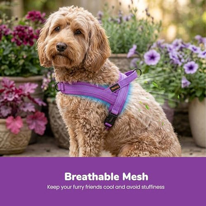 Didog No Pull Dog Harness for Small Dogs, Breathable Mesh Padded - Image 2