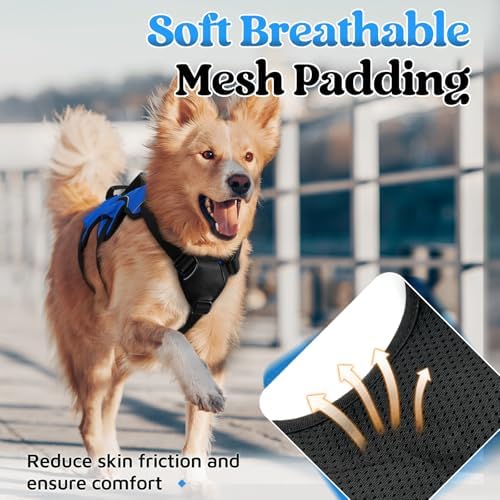 rabbitgoo Escape Proof Dog Harness - Image 6