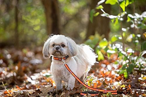 Pets First NFL Licensed Kansas City Chiefs Pet Leash, Size Medium – Durable - Image 4
