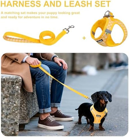 AIITLE Step in Medium Dog Harness and Leash Set, Puppy Pet Vest - Image 6
