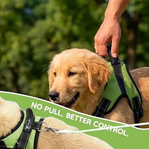 No Pull Reflective Adjustable Dog Harness - Image 6